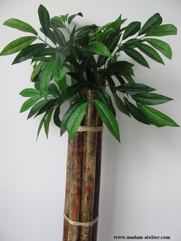 bambu-4