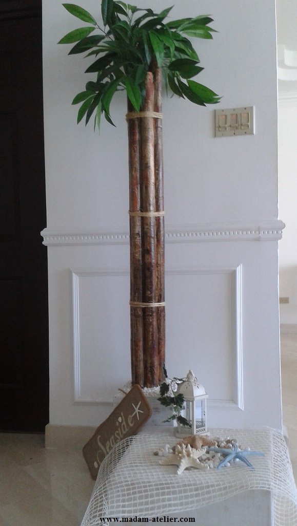 ecocenariovii